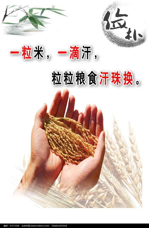 SaintMary'sCollegeofCalifornia学士证书
